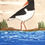Thumbnail: Oystercatcher (2025)