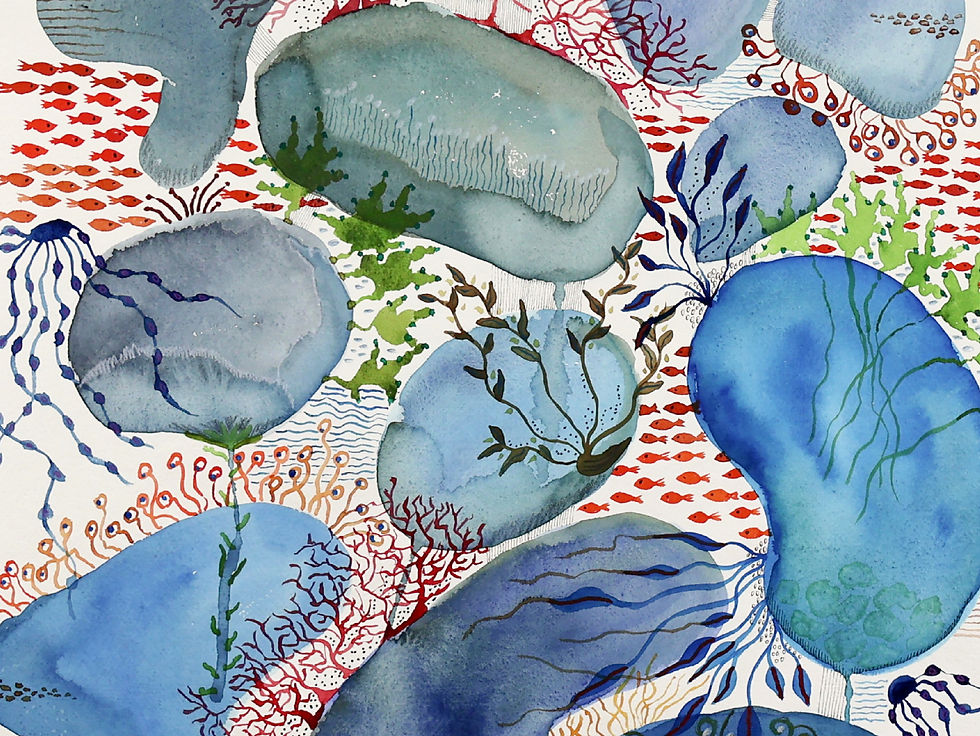 Thumbnail: Reef