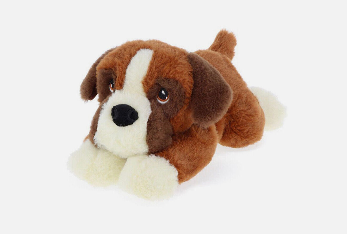 Keel puppy