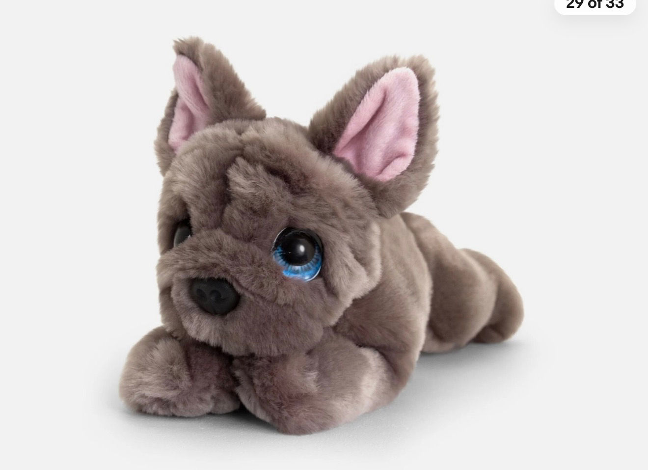 Keel puppy