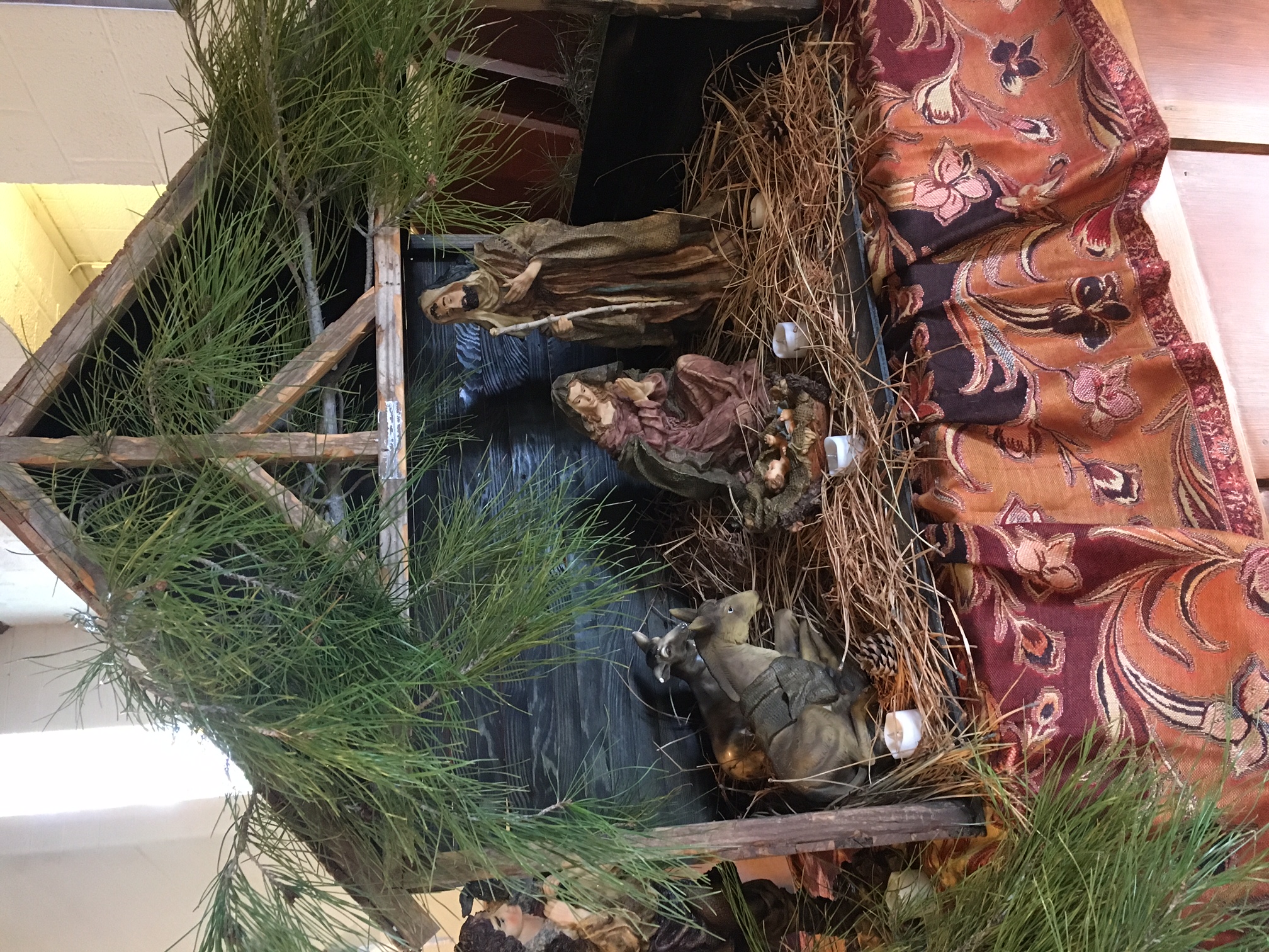 2016 Nativity