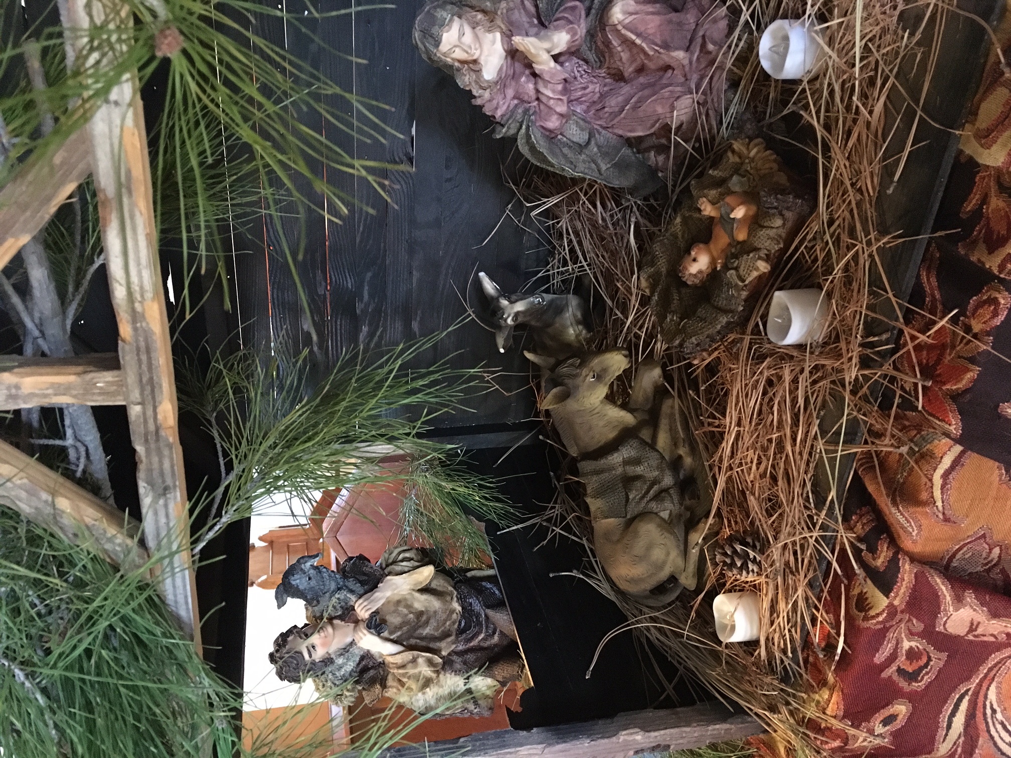 2016 Nativity