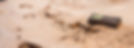 3_edited.jpg