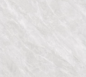 Marble Effect Polished Homogeneous Tiles