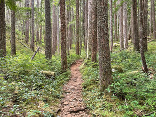 Not Fade Away: A personal reflection on the healing power of art and music during moments of life and loss