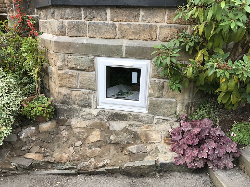 Basement window