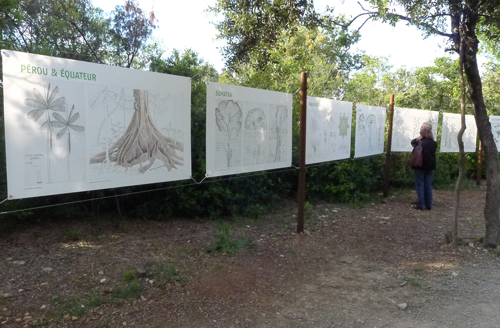 Zoo du Lunaret de Montpellier