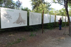 Zoo du Lunaret de Montpellier