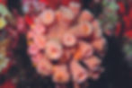 CAP_3414.JPG