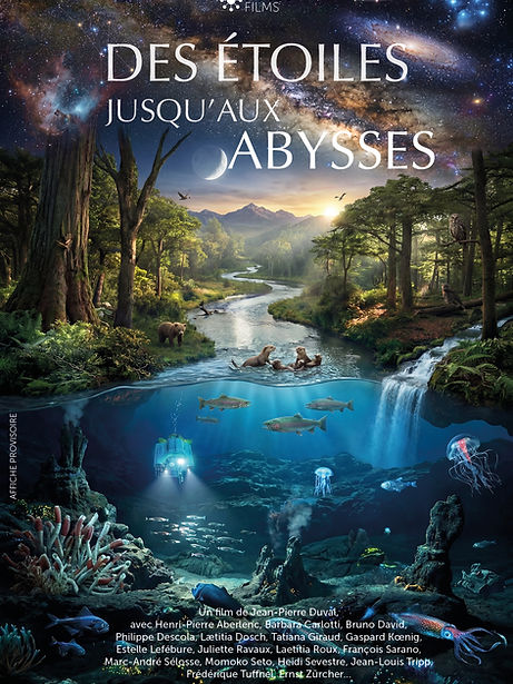 Affiche.jpg