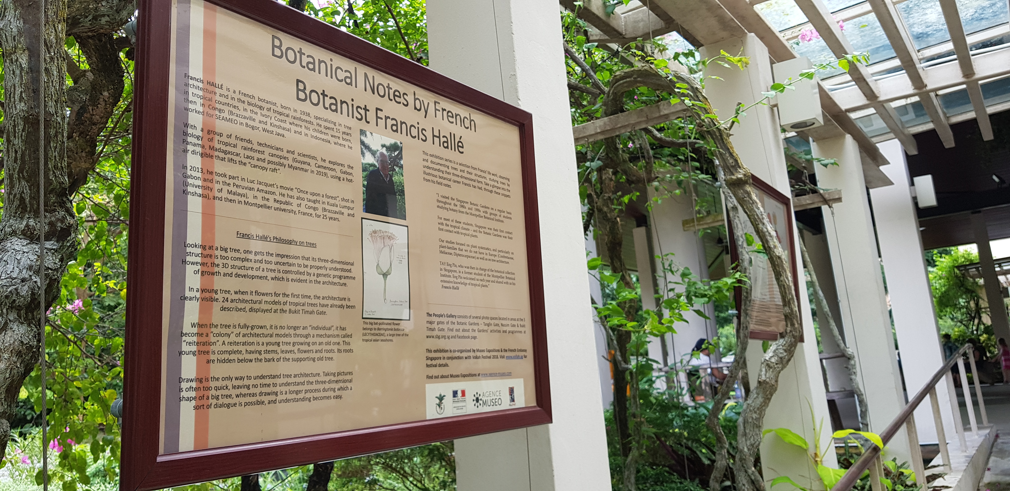 Jardin Botanique de Singapour