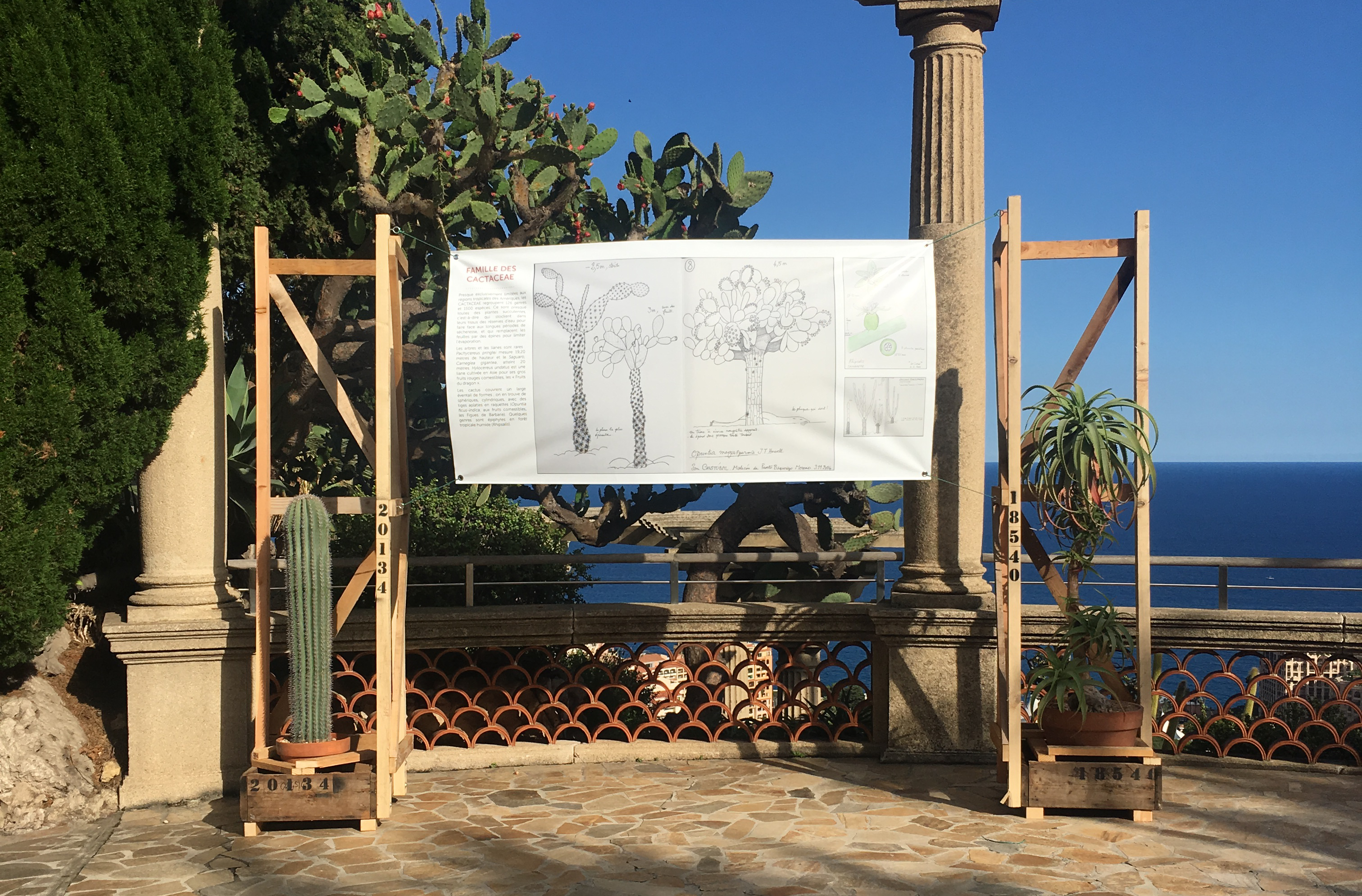 Jardin Exotique de Monaco