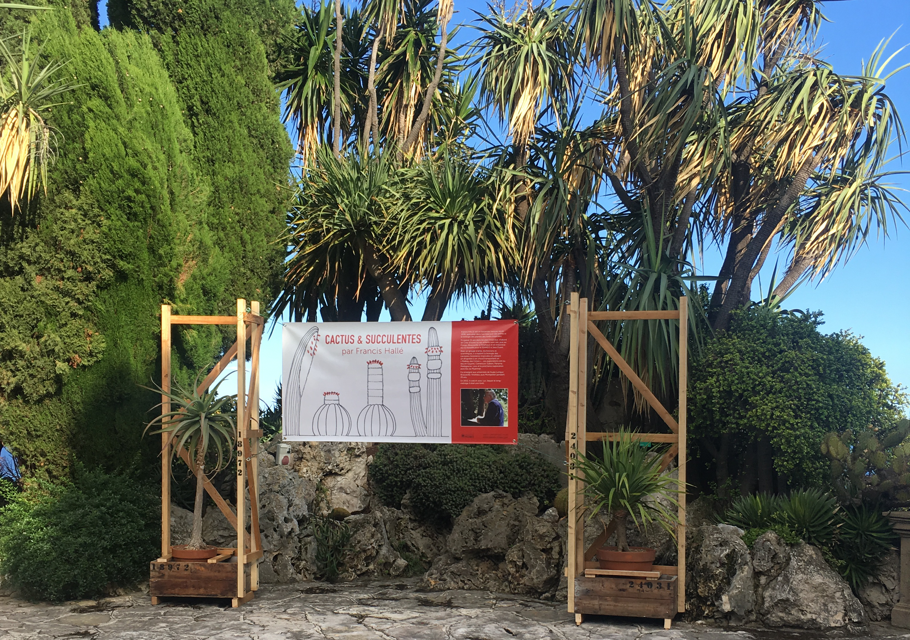 Jardin Exotique de Monaco