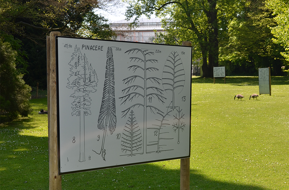 Jardin botanique de Bruxelles