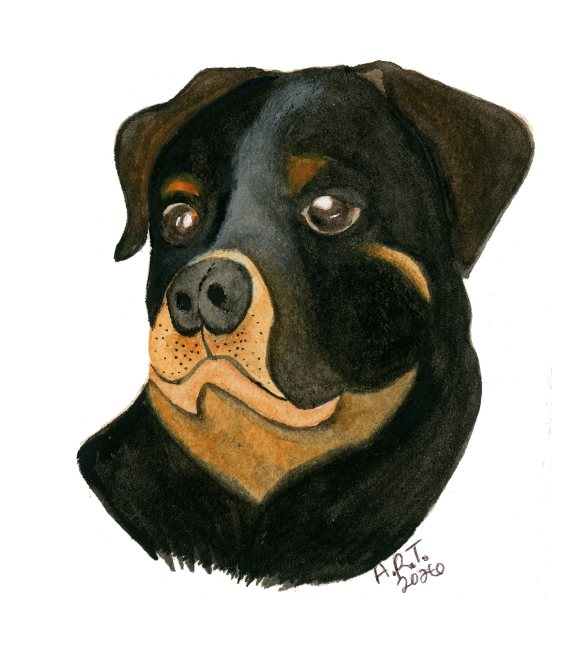 Rottweiler Greeting Card