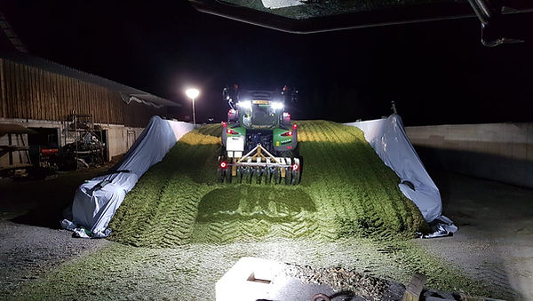 Fahrsilowalzen bei Nacht