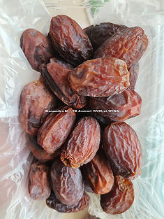 WhatsApp Image 2025-08-28 at 14.53.12_8b8eb764.jpg