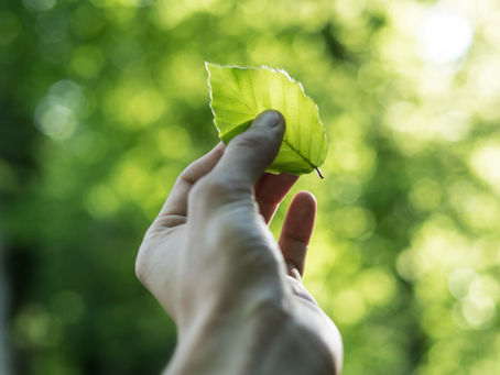 Genomineerden Impact Award Duurzaam Zeist powered by Heilijgers bekend!