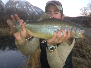 big brookie
