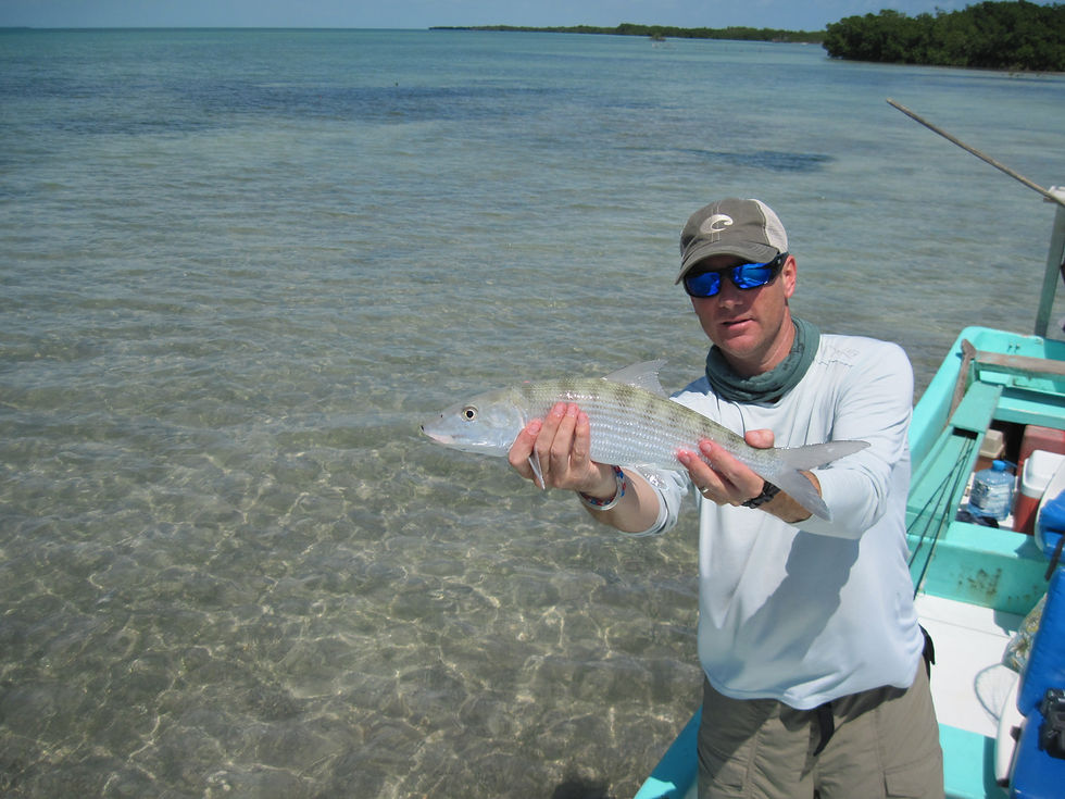 Catch and Release