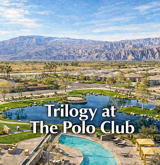 Trilogy at The Polo Club Carpet Cleaning Indio A1 Steamer.png