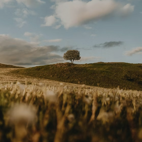 What Locals Taught Me About True Hospitality.