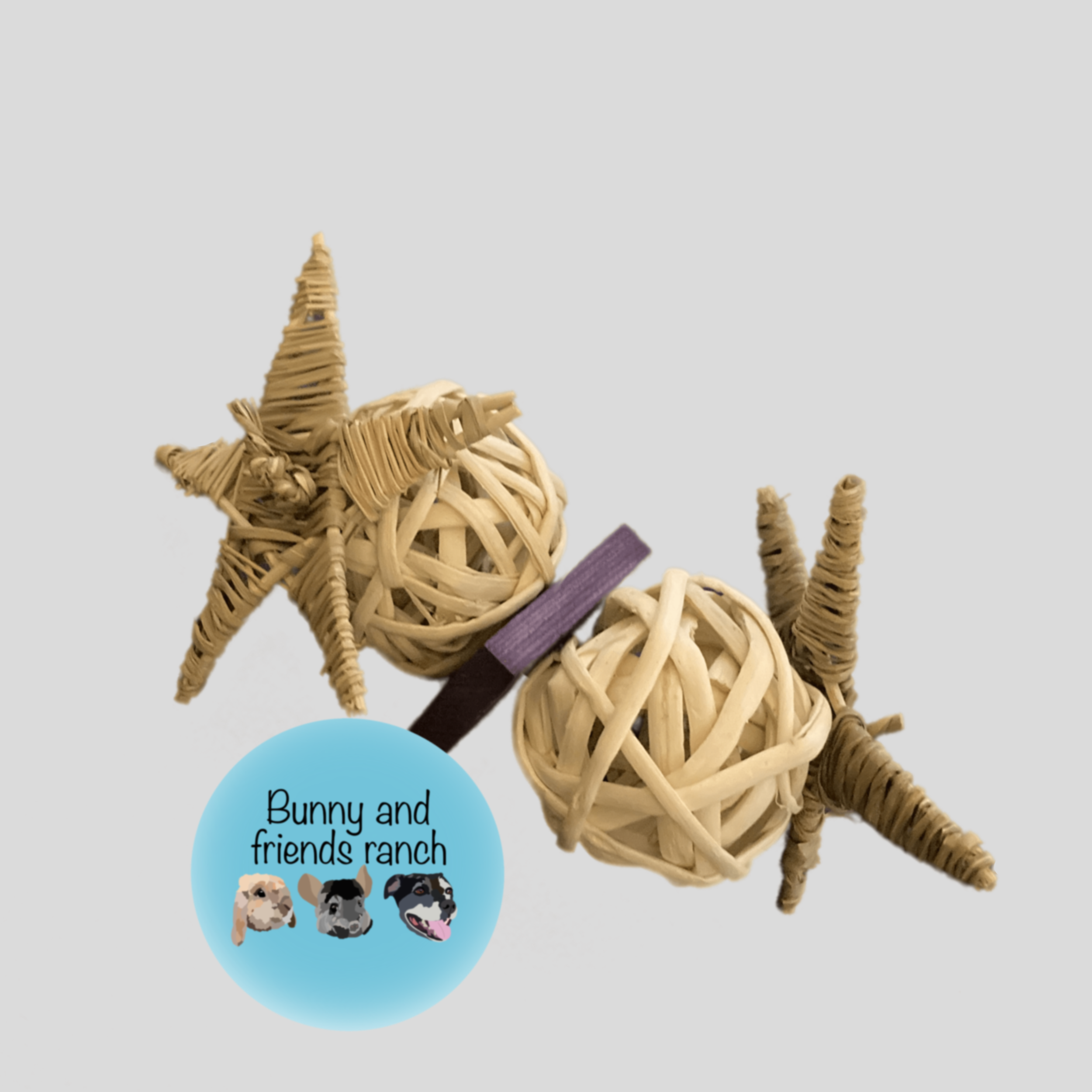 small animal chew toy