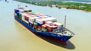 Transport firms continue to reap high profits as ocean rates fall slowly