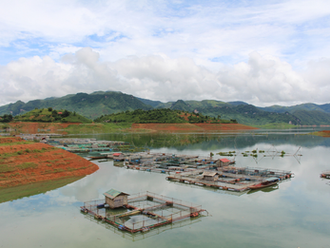 Vietnam issues national plan on aquaculture development for 2021-2030