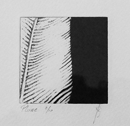 Plume