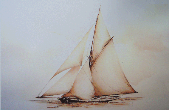 Cotre 1
