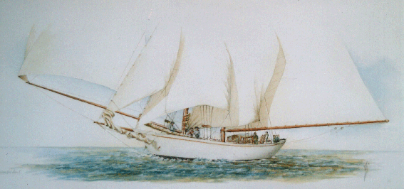 Cotre 2