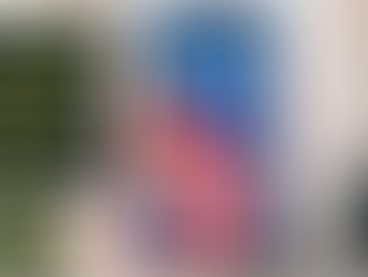 BlankIT, no boundaries with the EU