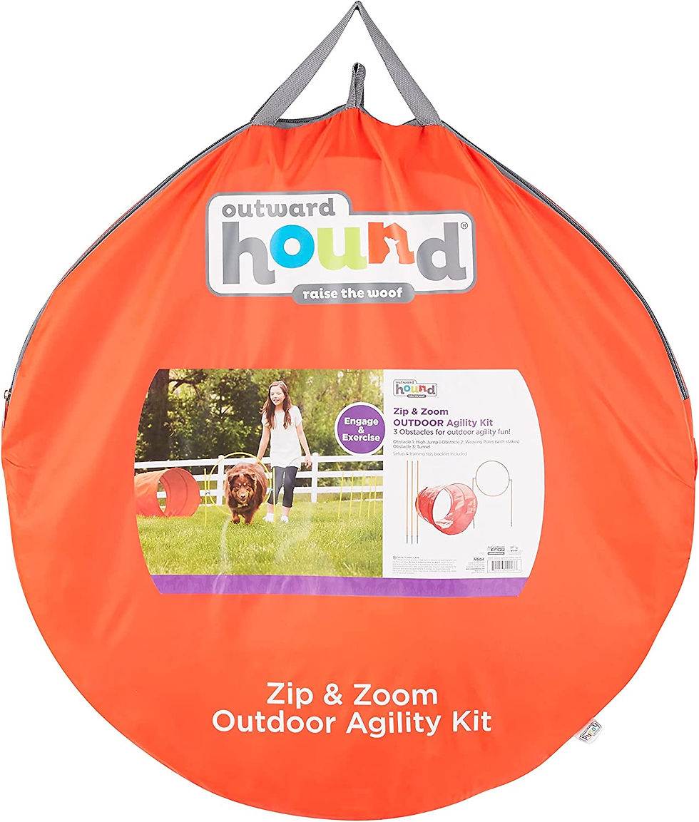 Thumbnail: Zip & Zoom Outdoor Agility Kit