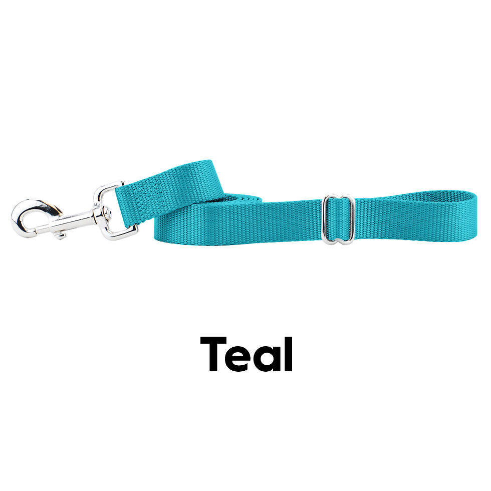 Thumbnail: Solid Colored Leash 2hound design