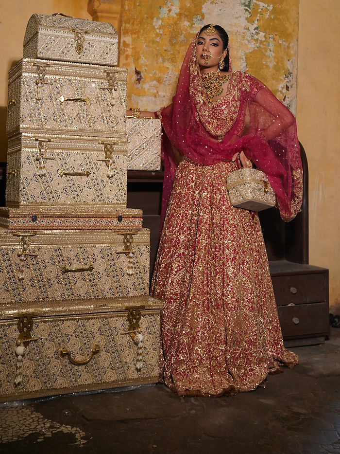 Tajnoor — The Bridal Lehenga view 1