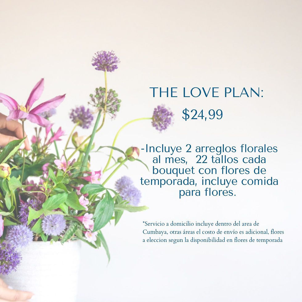 Suscripción Mensual