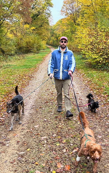 Sandy Walks dog walker leading three dogs on a forest path in Sandweiler, Luxembourg surrounded by autumn colors.