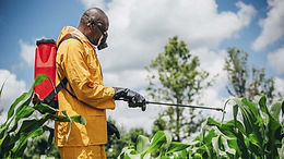 agrochemicals.jpeg
