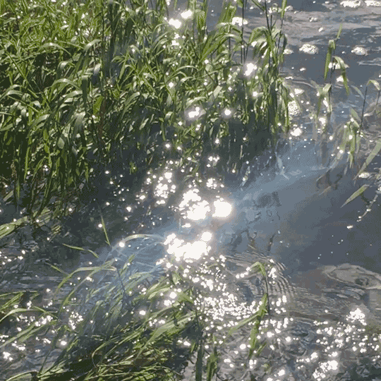original_718d3bb26567a287b0746f72e2d81e9a.gif