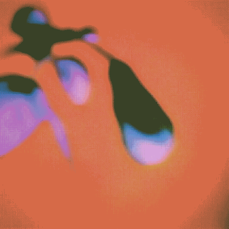 original_8449cadac564e23ff02aecfbc2b1c219.gif