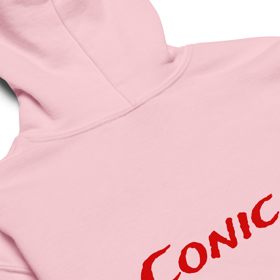 サムネイル： Conic Youth Heavy Blend Hoodie
