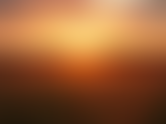 Reclaim Your Life: Empowering Steps to Heal and Thrive After Divorce or Breakup