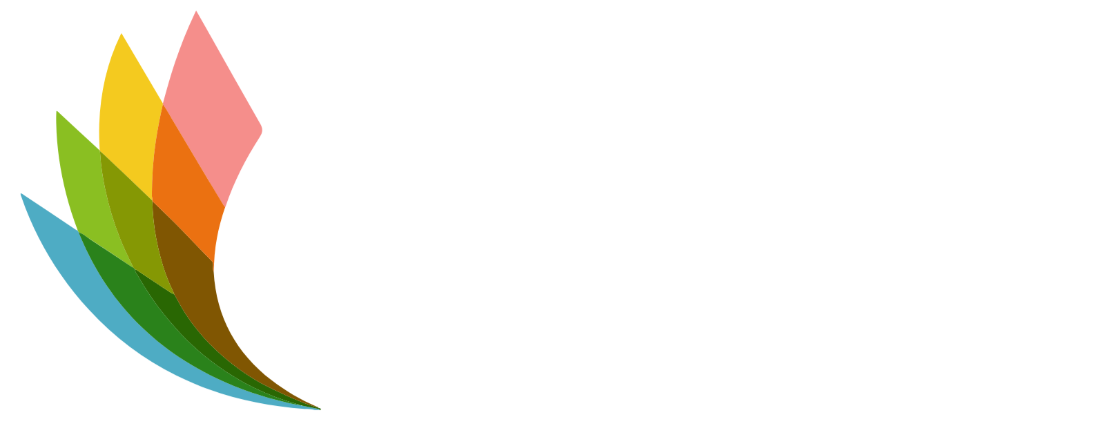 Untitled design (2)_edited.png