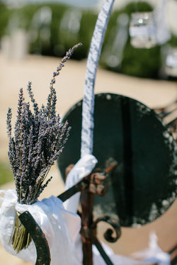 Villa Manto Wedding