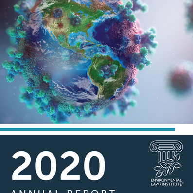 annual_report_2020 v1