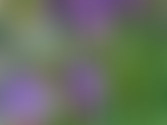 A Poem for Easter from Jill Pirdas