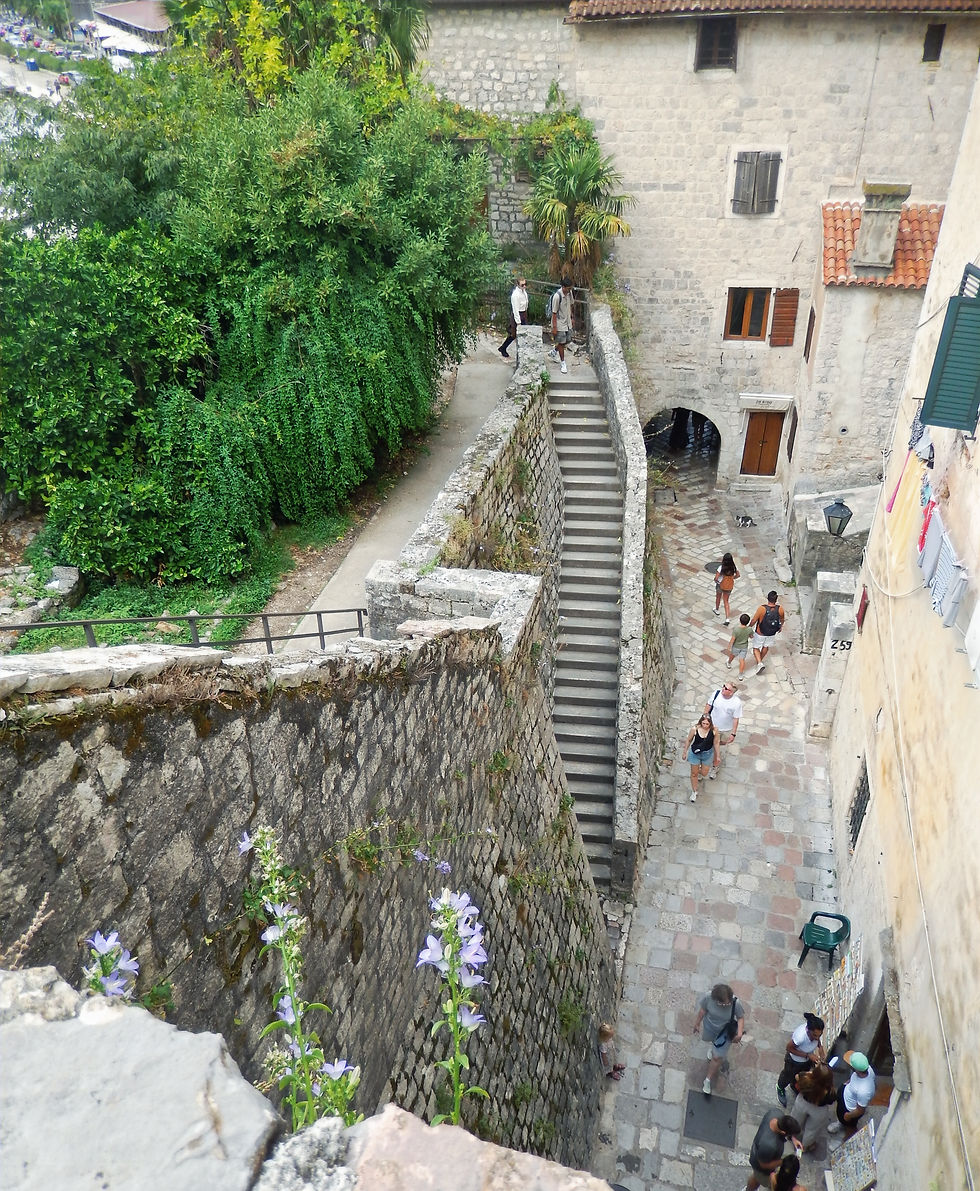 A part of the defensive walls of Kotor