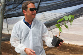 Victor Shoenfeld, chief winemaker at the Golan Heights Winery, in the winery's ENTAV-licensed nursery where they propagate virus-free vines under highly maintained sterile conditions.