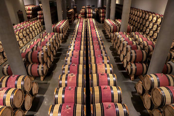 The barrel cellar, Domaine du Castel, Yad HaShmona.